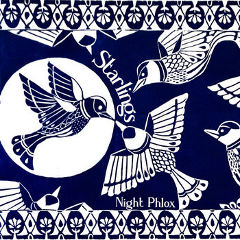 Starlings "Night Phlox" (2022)